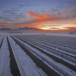Alamosa